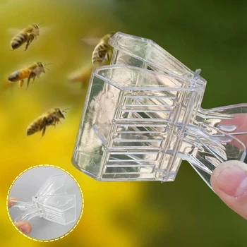 2Pcs חסר צבע ברור מלכת הדבורים מלכודת פלסטיק קליפ כלוב מלכת הדבורים לתפוס את דבורים בחדר בידוד גידול דבורים תופס כלי