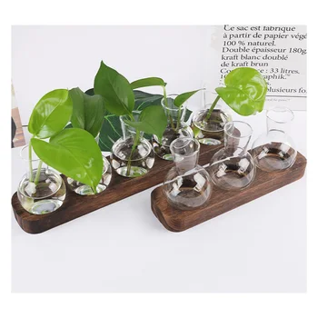 בציר אגרטלי פרחים יצירתיים צמח הידרופוני אגרטל שקוף מסגרת עץ קפה בחדר שולחן זכוכית צמחים בבית בונסאי עיצוב