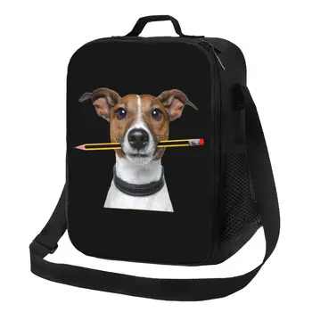 ג ' ק ראסל טרייר כלב עם עיפרון נייד צהריים תיבה משולבת קריר אוכל תרמי מבודד הצהריים, הילדים בבית הספר